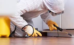 Best Residential Pest Control  in Seacliff, CA